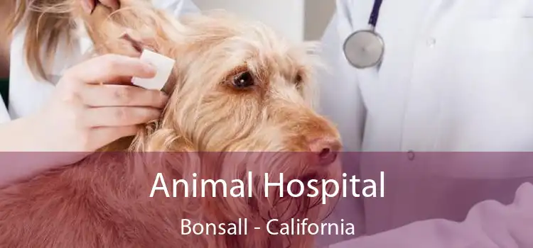 Animal Hospital Bonsall - California