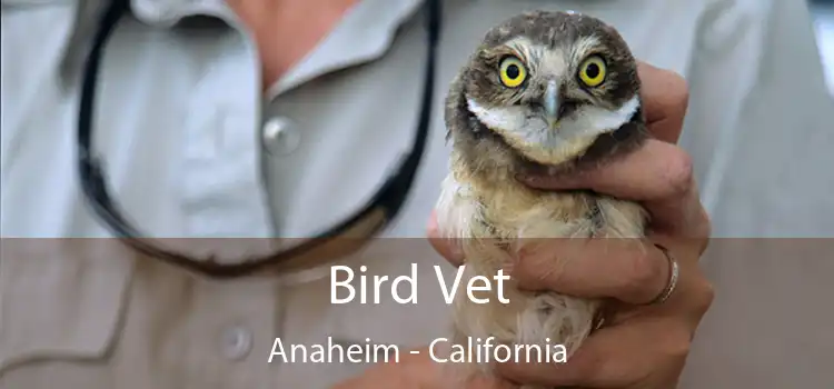 Bird Vet Anaheim - California