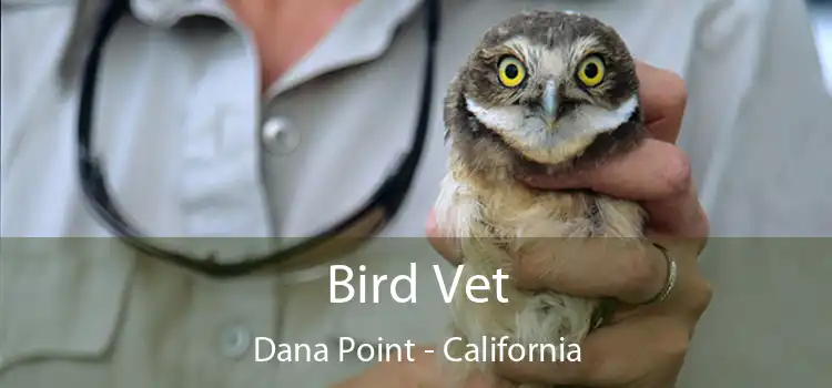 Bird Vet Dana Point - California