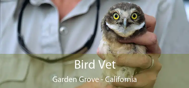 Bird Vet Garden Grove - California