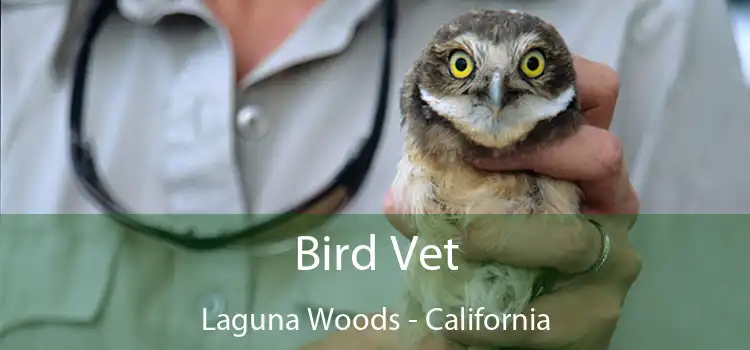 Bird Vet Laguna Woods - California