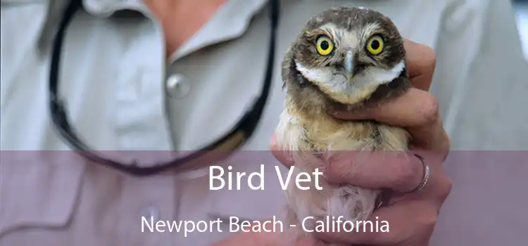 Bird Vet Newport Beach - California