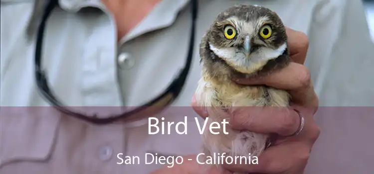 Bird Vet San Diego - California