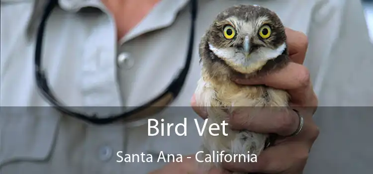 Bird Vet Santa Ana - California