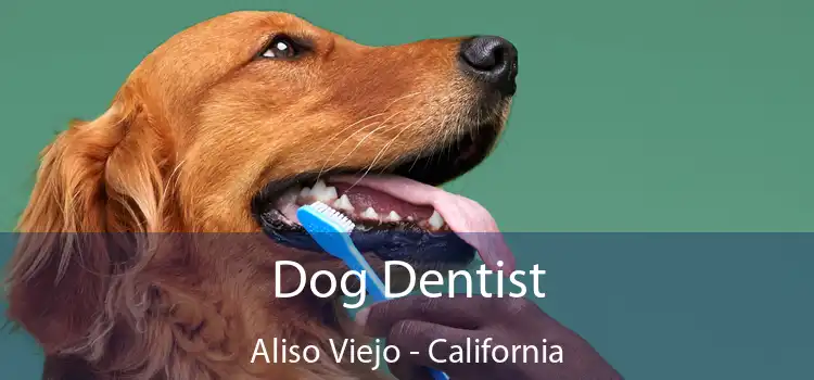 Dog Dentist Aliso Viejo - California