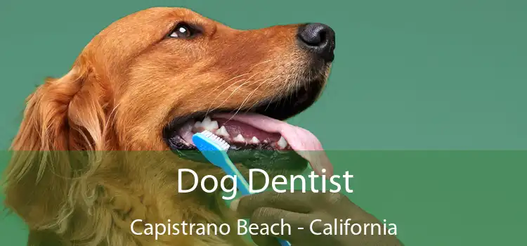 Dog Dentist Capistrano Beach - California