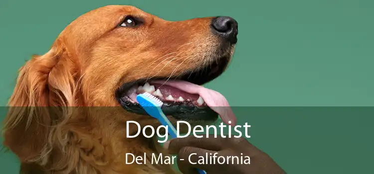 Dog Dentist Del Mar - California