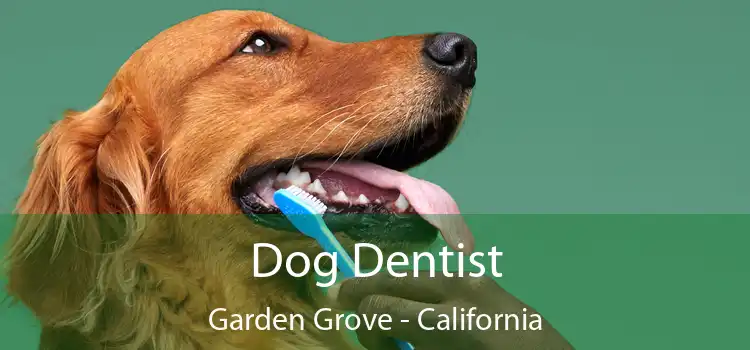 Dog Dentist Garden Grove - California