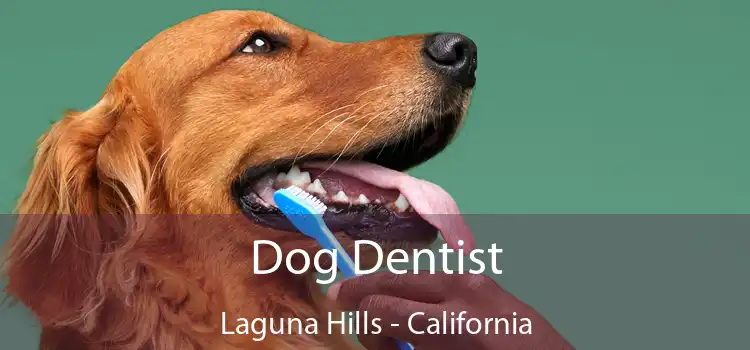 Dog Dentist Laguna Hills - California