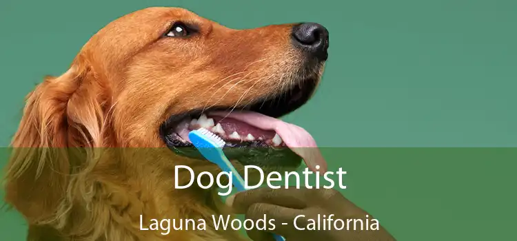 Dog Dentist Laguna Woods - California