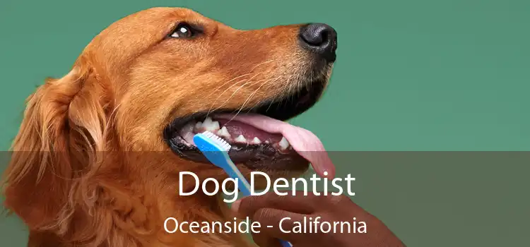 Dog Dentist Oceanside - California