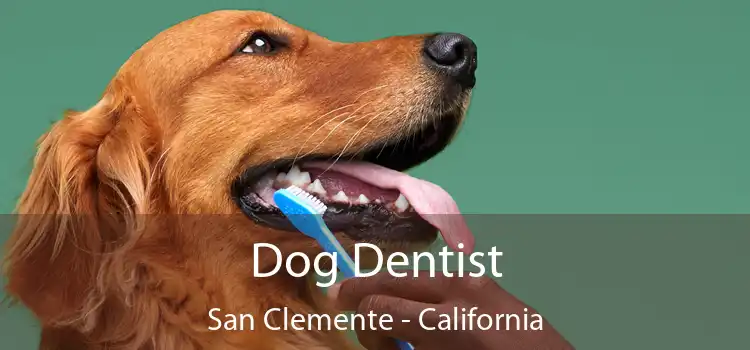 Dog Dentist San Clemente - California