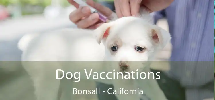 Dog Vaccinations Bonsall - California