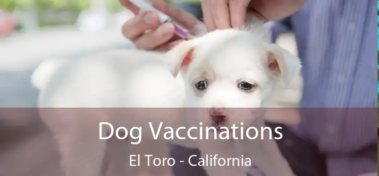 Dog Vaccinations El Toro - California