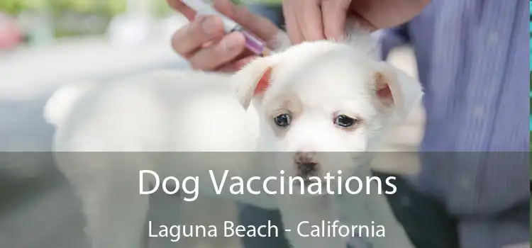 Dog Vaccinations Laguna Beach - California