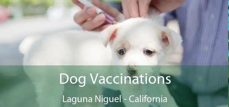 Dog Vaccinations Laguna Niguel - California