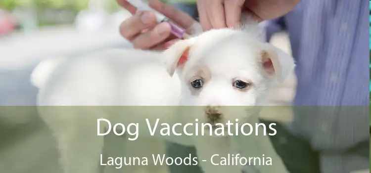 Dog Vaccinations Laguna Woods - California