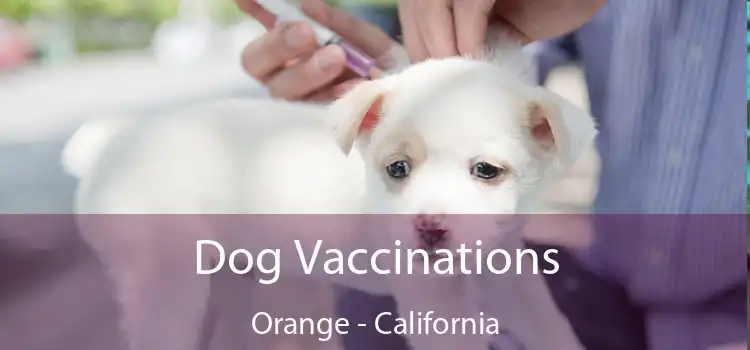 Dog Vaccinations Orange - California