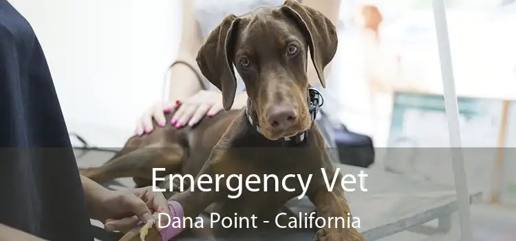 Emergency Vet Dana Point - California