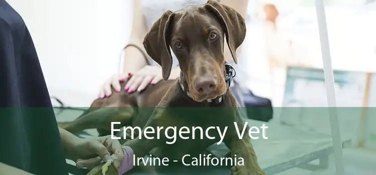 Emergency Vet Irvine - California