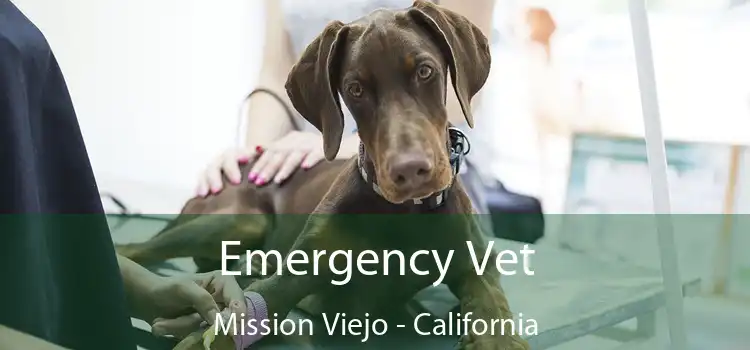 Emergency Vet Mission Viejo - California