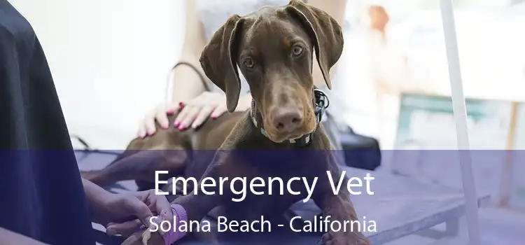 Emergency Vet Solana Beach - California