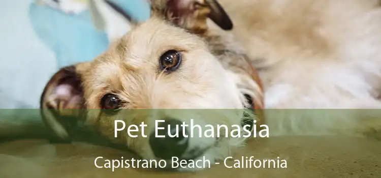 Pet Euthanasia Capistrano Beach - California