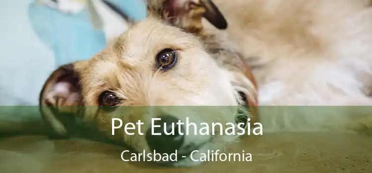 Pet Euthanasia Carlsbad - California