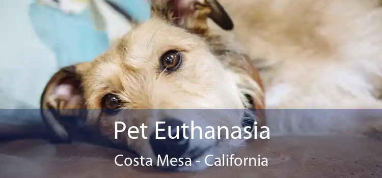 Pet Euthanasia Costa Mesa - California