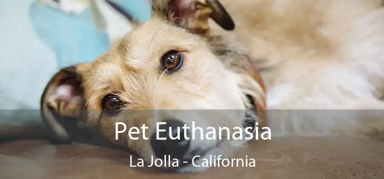 Pet Euthanasia La Jolla - California