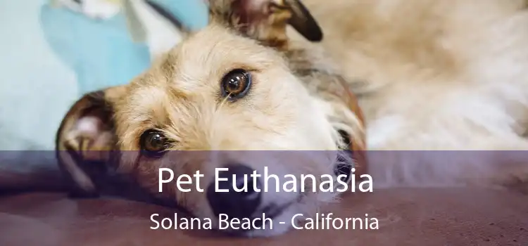 Pet Euthanasia Solana Beach - California