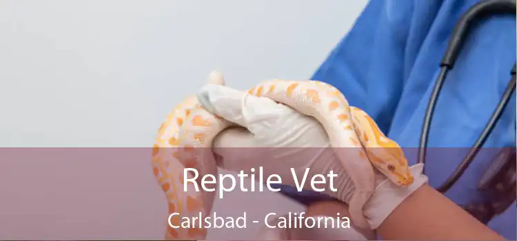 Reptile Vet Carlsbad - California