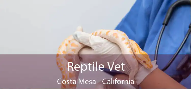 Reptile Vet Costa Mesa - California