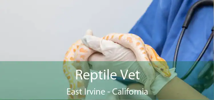 Reptile Vet East Irvine - California