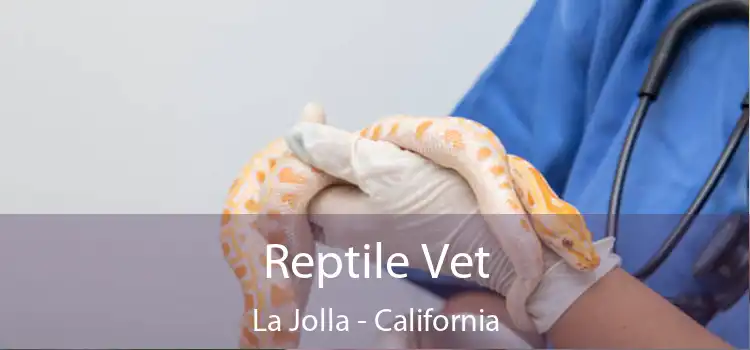 Reptile Vet La Jolla - California