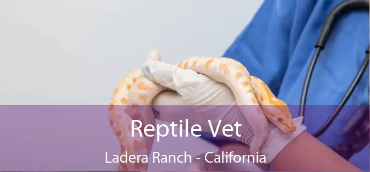 Reptile Vet Ladera Ranch - California