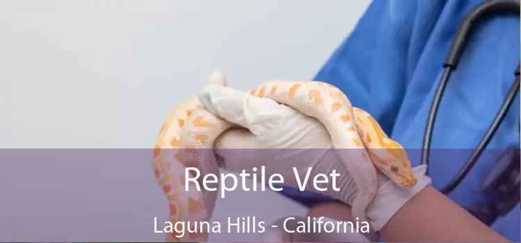 Reptile Vet Laguna Hills - California