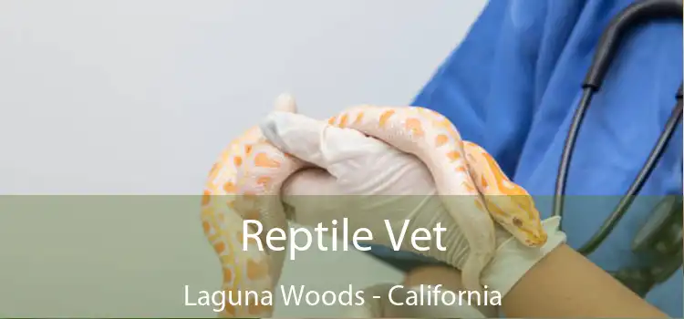 Reptile Vet Laguna Woods - California