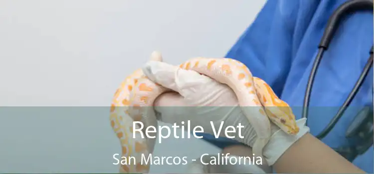 Reptile Vet San Marcos - California