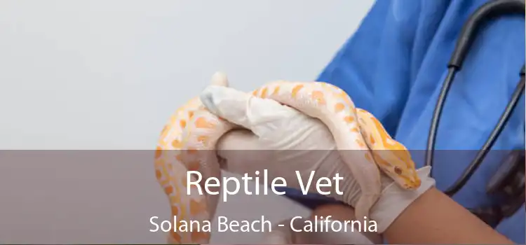 Reptile Vet Solana Beach - California