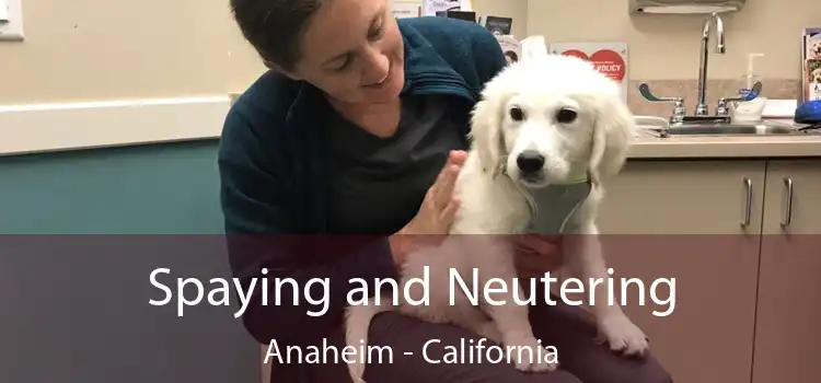 Spaying and Neutering Anaheim - California