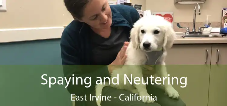 Spaying and Neutering East Irvine - California