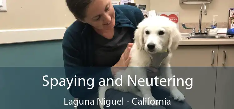 Spaying and Neutering Laguna Niguel - California