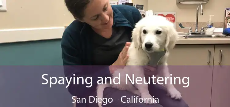 Spaying and Neutering San Diego - California