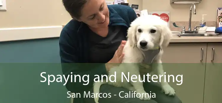 Spaying and Neutering San Marcos - California