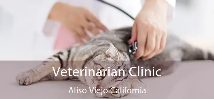 Veterinarian Clinic Aliso Viejo California