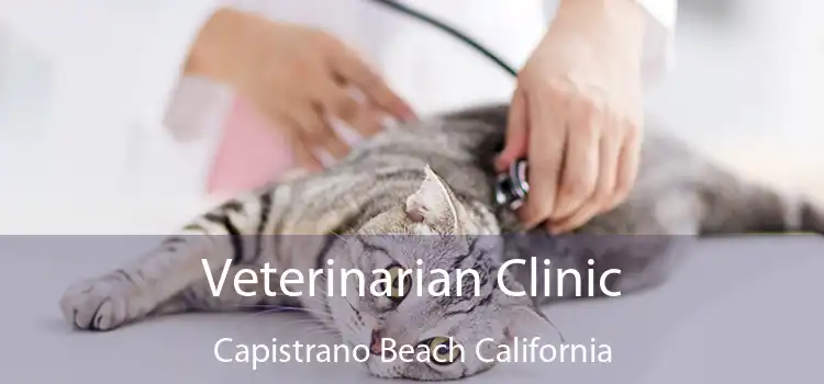 Veterinarian Clinic Capistrano Beach California