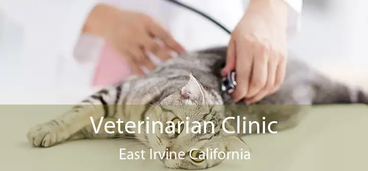 Veterinarian Clinic East Irvine California