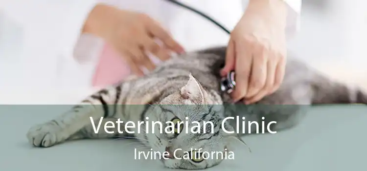 Veterinarian Clinic Irvine California