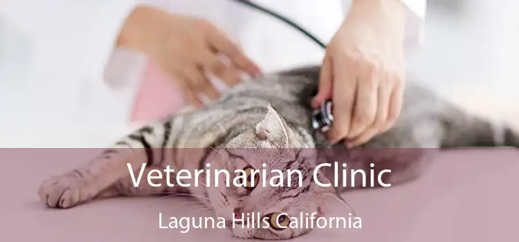 Veterinarian Clinic Laguna Hills California